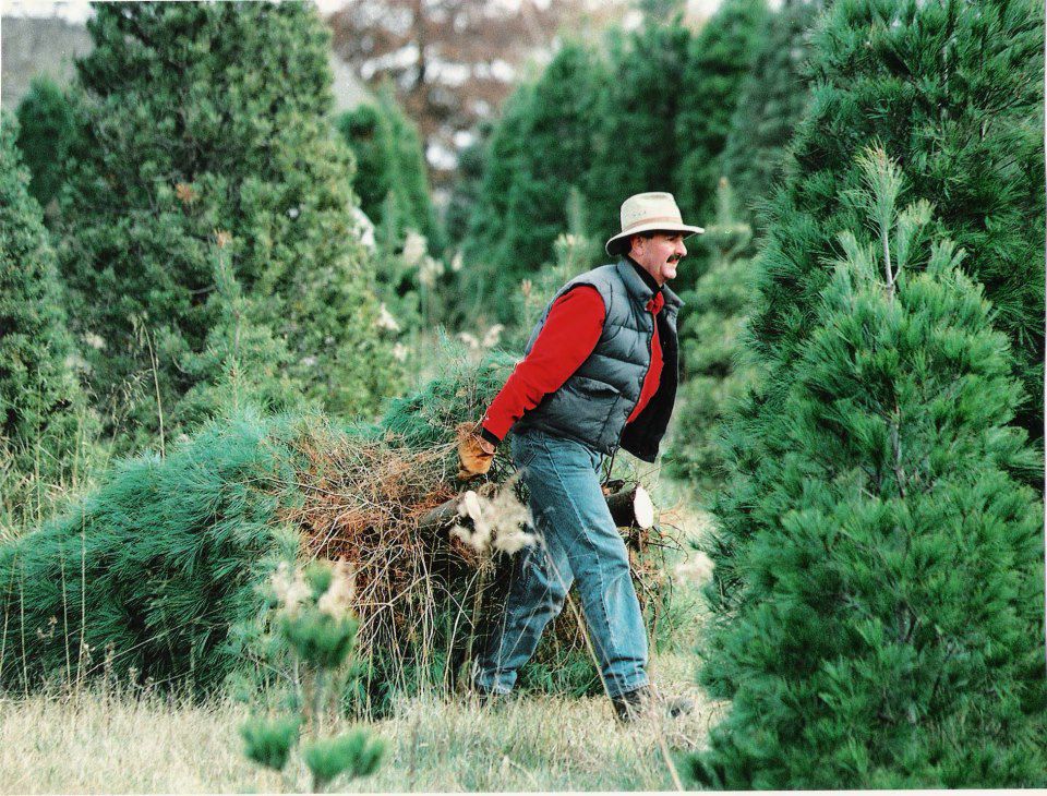 Hubbel's Grove Tree Farm